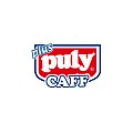 Puly