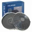 Alapure Koolstoffilter geschikt voor Galvamet X39.C90 / X37.C90 / X36.90 / X37.90