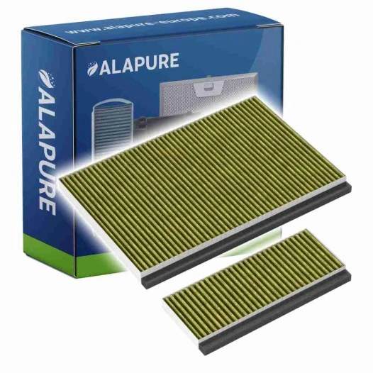 Alapure CleanAir Plus Koolstoffilter geschikt voor Constructa 17005414 / CZ51AIB1X6