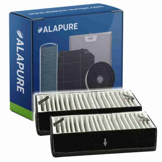 Alapure Koolstoffilter geschikt voor Inventum KB80 (2 St.)