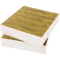 Gaggenau Koolstoffilter 11058753 / 11028106 / AA410110 (2St.)