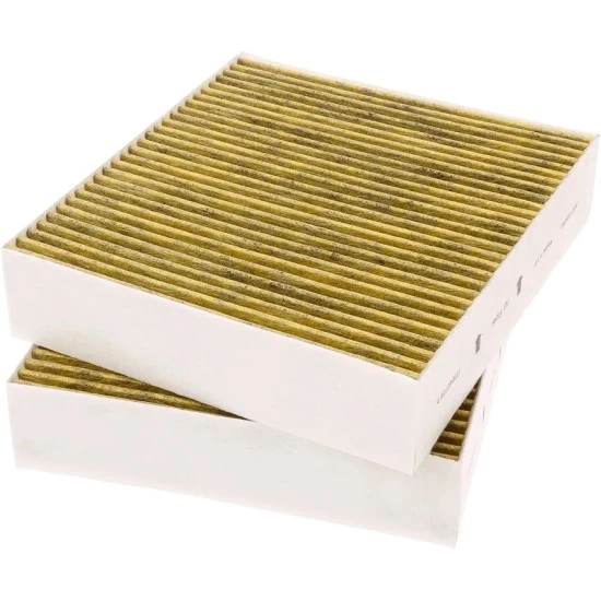 Alapure Koolstoffilter geschikt voor Gaggenau 11058753 / 11028106 / AA410110 (2St.)