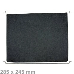 Bauknecht Longlife Koolstoffilter Type 31 / AMH290