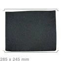 Alapure Koolstoffilter geschikt voor AEG Type 31 / 9029793842