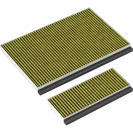 Alapure CleanAir Plus Koolstoffilter geschikt voor Bosch 11042136 / 17005406 (set)