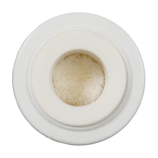 Alapure ALA-CTOHF10 Legionella Waterfilter ALA-CTO10HF
