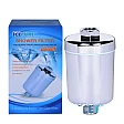 Icepure SF001-H Douche Filter