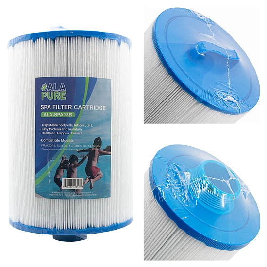 Alapure Waterfilter geschikt voor Pleatco PMAX50P4 Alapure Waterfilter geschikt voor Pleatco PMAX50P4