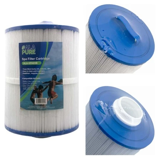 Alapure Spa Waterfilter geschikt voor Pleatco PAS40-F2M