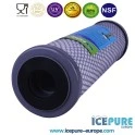 Alapure Koolstoffilter Met Zilver ALA-CTO10-AG