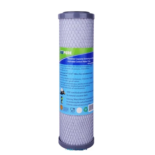 Alapure Koolstoffilter Met Zilver ALA-CTO10-AG