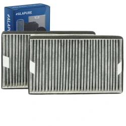 Alapure HFK3975 Compatibel met Miele Koolstoffilter DKF19-P / FWKM-1423 (2 St.)