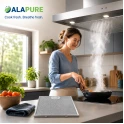 Alapure Metaalfilter geschikt voor Hoover 49010998 318x256x8mm
