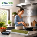 Alapure CleanAir Plus Koolstoffilter geschikt voor Gaggenau 11034172 / AA210110