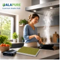 Alapure HFK041 CleanAir Plus Koolstoffilter geschikt voor 11034226 / 17004035 / DIZ1JX1B6 / 17004041 / LZ21JXB16 (3 St.)