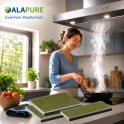 Alapure geschikt voor Bosch CleanAir Plus Koolstoffilter DWZ1BK1I6 / 17008032 (3st.)