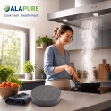 Alapure Koolstoffilter geschikt voor Electrolux 4055480406 / EFF75F