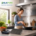 Alapure koolstoffilter geschikt voor Blaupunkt Koolstoffilter 5Z9110X1