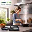 Alapure Koolstoffilter geschikt voor Sauter 74X2375 (2St.)