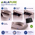 Alapure Koolstoffilter geschikt voor Brandt 72X3800 (2St.)