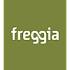 Freggia