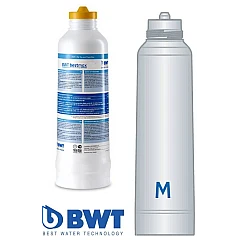 BWT Bestmax M Wisselpatroon FS24I00A00 BWT Bestmax M Wisselpatroon FS24I00A00