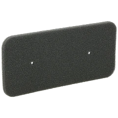 Candy 40006731 Wasdroger Schuimfilter van Eurofilter DFH10